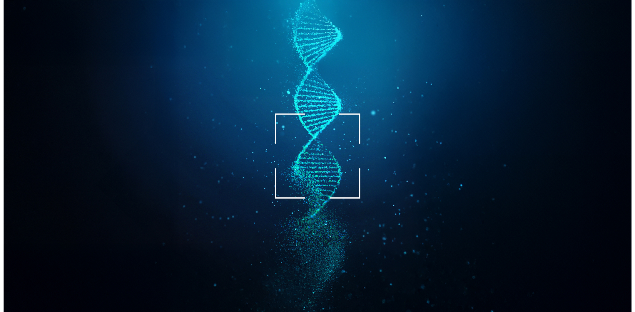 HEADER DNA _ 3000X2000 (1728 x 850 px)